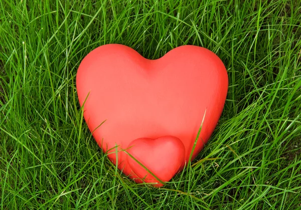 Červené srdce na trávě — Stock fotografie