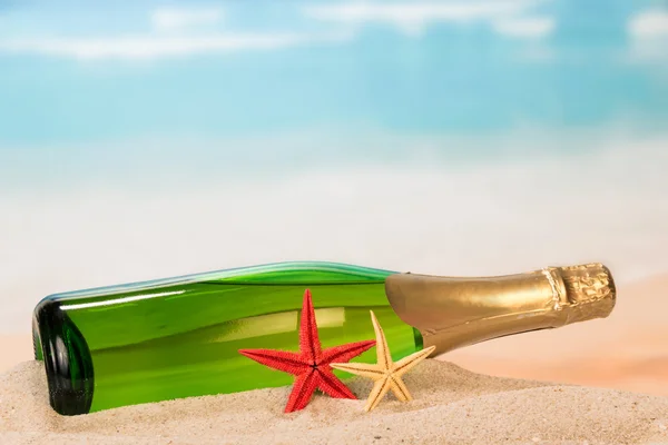 Flaska champagne och starfishes — Stockfoto