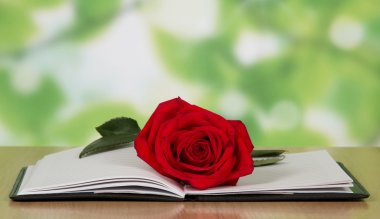 Kırmızı bir gül ile açık kitap