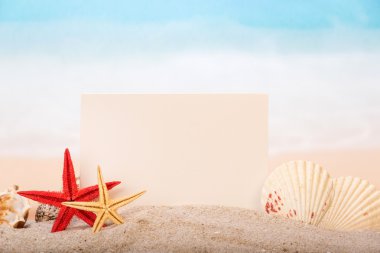 Kart, starfishes ve kabukları