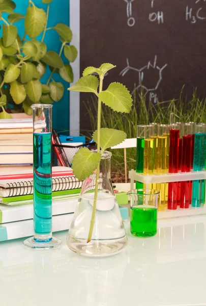 Chemical flasks with  liquid — Stock Photo, Image