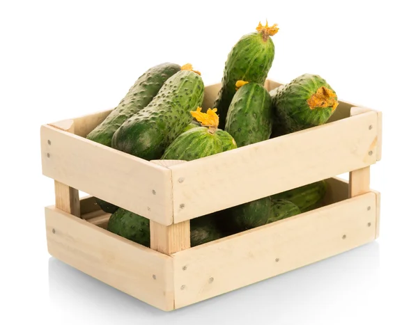 Caja de madera con pepinos — Foto de Stock