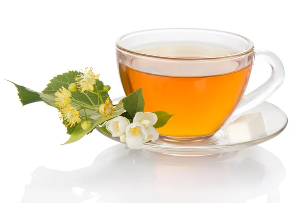 Çay bir fincan tabağı ile — Stok fotoğraf