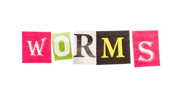 Solucanlar yazıt kesip harfler