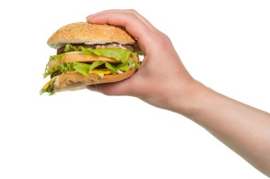 Burger sandviç el