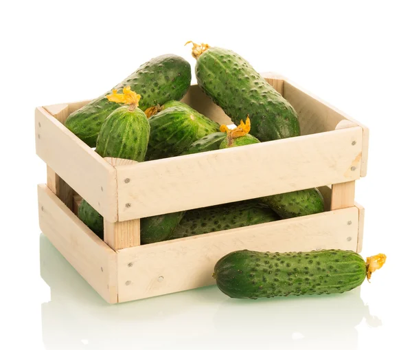 Wooden box with cucumbers — Stock Photo, Image