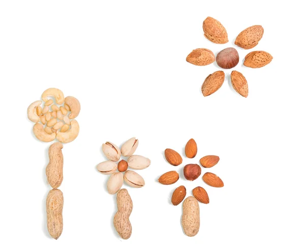 Nuts in flowers and sun shape — Stock Photo, Image