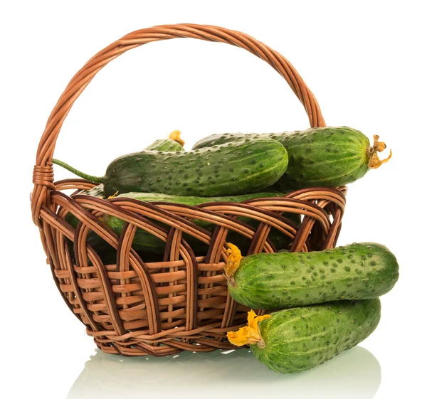 Cucumbers in basket — Stock Photo, Image