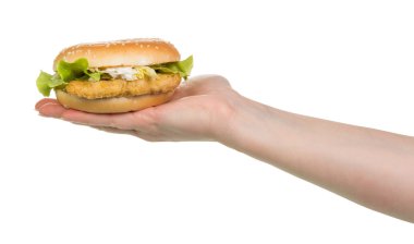 Burger sandviç el