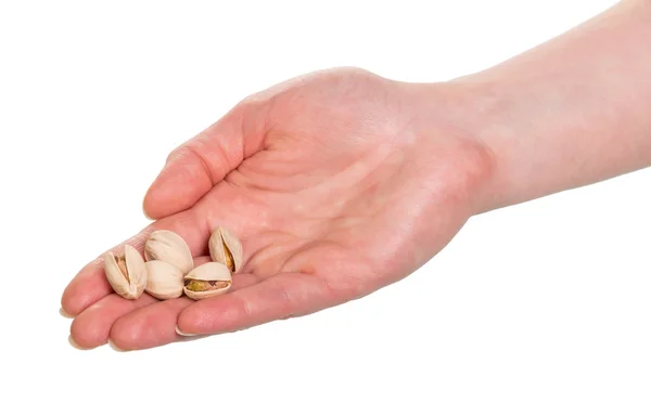 Pistachio nuts in hand — Stock Photo, Image