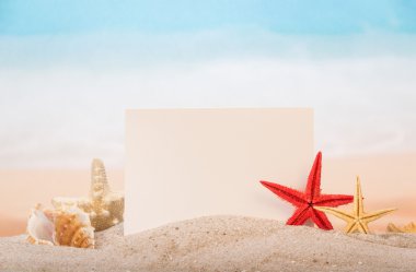 Kart, starfishes ve kabukları