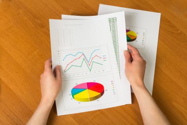 Business report documents in hands