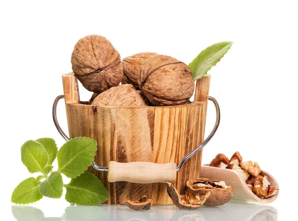 Walnuts in wooden bucket — Stock Photo, Image