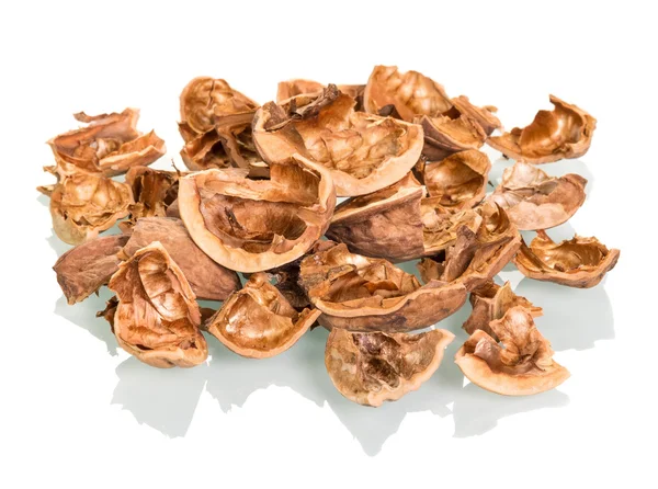Оболочки грецкого ореха — стоковое фото