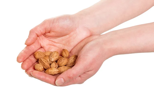 Almond nuts in hands — Stock Photo, Image