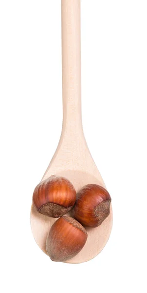 Hazelnuts on a wooden spoon — Stock Photo, Image