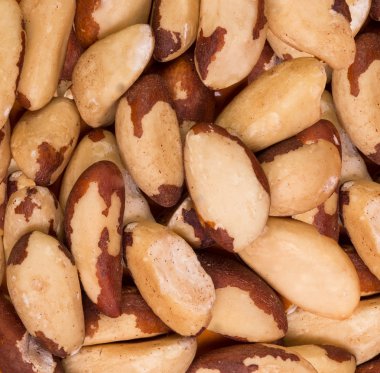 kaju fıstığı arka plan