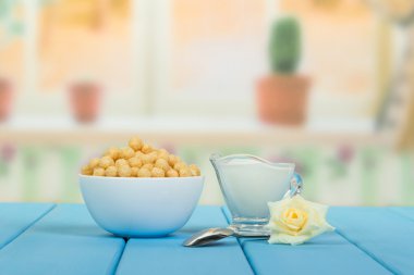 Pul ve süt kabı ile kase