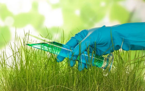 Hand mit Kolben und Gras — Stockfoto