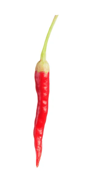 Pimenta quente — Fotografia de Stock