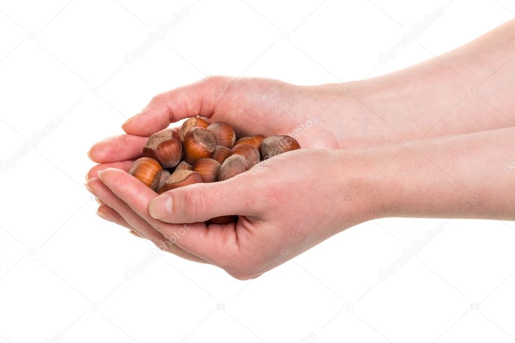 almond nuts in hands