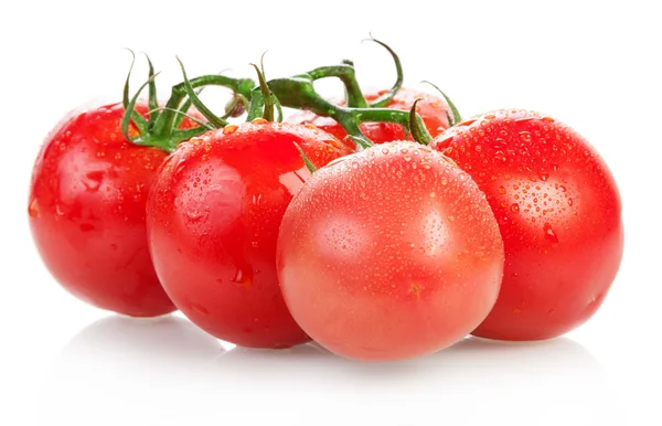 Borstel verse tomaten in druppels — Stockfoto