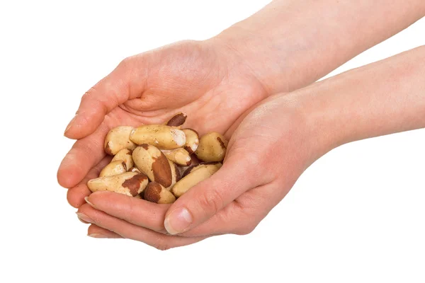 Handful of Brazil nuts in female hands — Stock Photo, Image