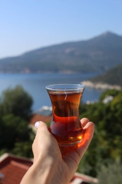 Kalkan Türkiye 'de Türk çayının seçici odak noktası.