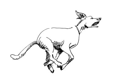 Köpek çalışan el çizimi kalem çizimi resim çizimi beyaz arkaplan izole