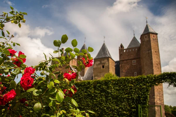 Middeleeuws Kasteel Assumburg Heemskerk Gezien Door Rode Bloemen — Stockfoto