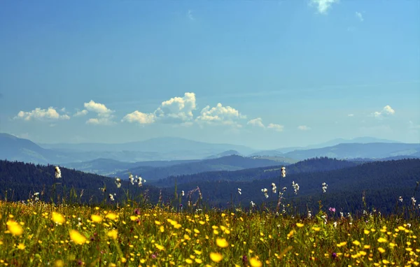 Plano Aéreo Del Paisaje Desde Las Montañas Calimani Rumania — Foto de Stock