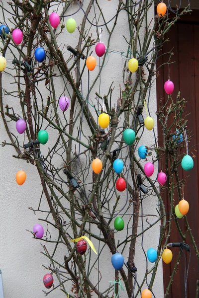 Vertical Shot Colorful Eggs Hanging Plant House Easter Holiday — Stock Photo, Image