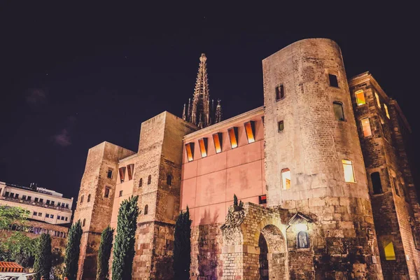 Низький Кутовий Знімок Знаменитого Собору Барселоні Іспанія Темному Тлі Неба — стокове фото