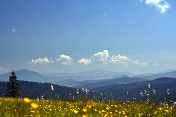 Eine Luftaufnahme Der Landschaft Aus Dem Calimani Gebirge Rumänien — Stockfoto