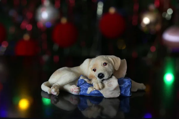 Gros Plan Une Figurine Chien Avec Des Lumières Bokeh Sur — Photo