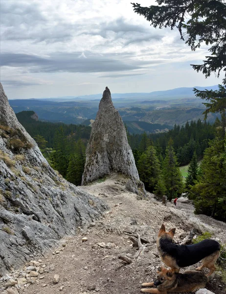 Een Prachtige Opname Van Het Landschap Met Piatra Singuratica Piek — Stockfoto