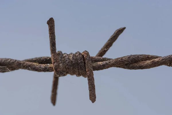 Closeup Shot Barbed Wire — Stock Photo, Image