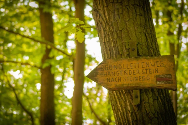 Zbliżenie Drewnianego Znaku Steinegg Park Niemczech — Zdjęcie stockowe