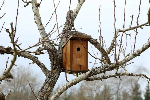 Tiro Perto Uma Casa Pássaros Pendurada Árvore — Fotografia de Stock