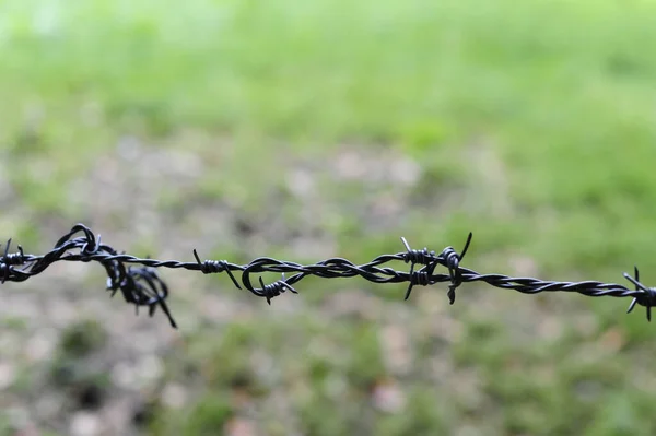 Miękkie Skupienie Drutu Kolczastego Rozmazanym Polu Trawiastym — Zdjęcie stockowe