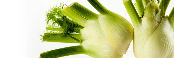 Yiyecek Afişi Organik Sebzeler Malzemeler Beyaz Arka Planda Izole Edilmiş — Stok fotoğraf