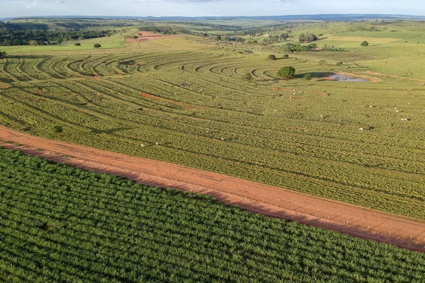 Aerial Shot Huge Green Field Used Agricultural Purposes — Stock Photo, Image