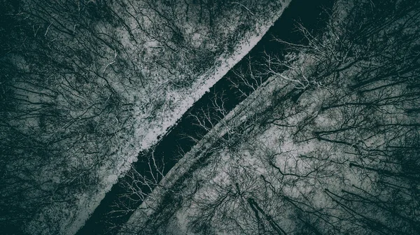 在冬天的森林里空中拍摄的一幅幅光秃秃的树木 — 图库照片