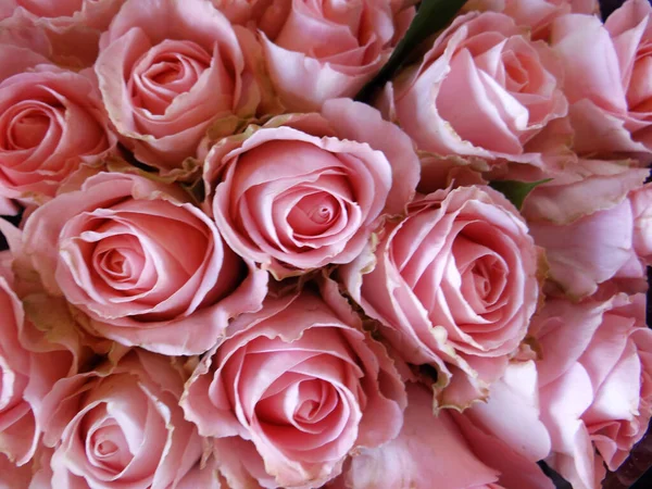 Ένα Κοντινό Πλάνο Από Ένα Μπουκέτο Τριαντάφυλλα Που Ανθίζουν — Φωτογραφία Αρχείου