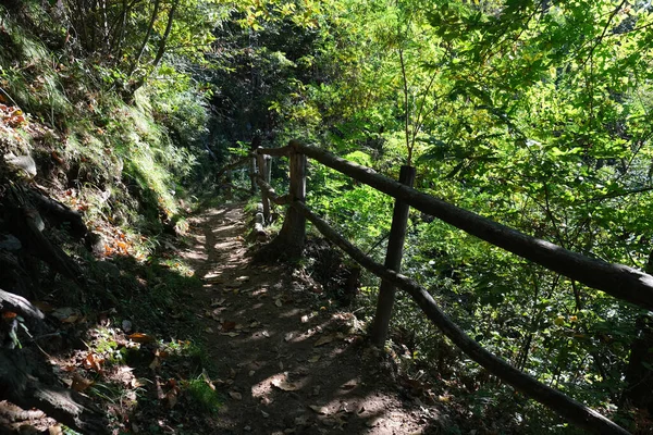 看陡峭的山路 有木制栏杆 — 图库照片