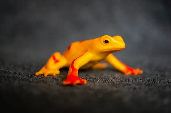A closeup of a toy figurine of a yellow frog with red stripes