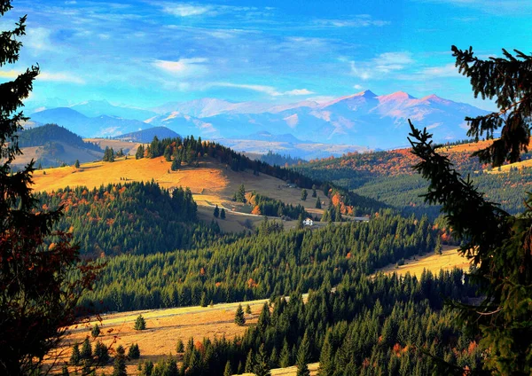 Eine Luftaufnahme Der Landschaft Aus Dem Calimani Gebirge Rumänien — Stockfoto