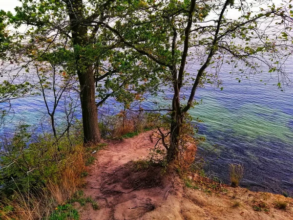 ポーランド グディニアのオルロ崖からのバルト海の美しい景色 — ストック写真