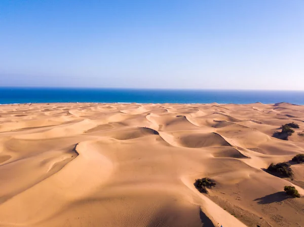 Песчаные Дюны Пляже — стоковое фото