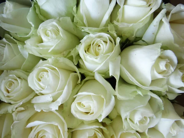 Eine Nahaufnahme Von Einem Strauß Blühender Rosen — Stockfoto